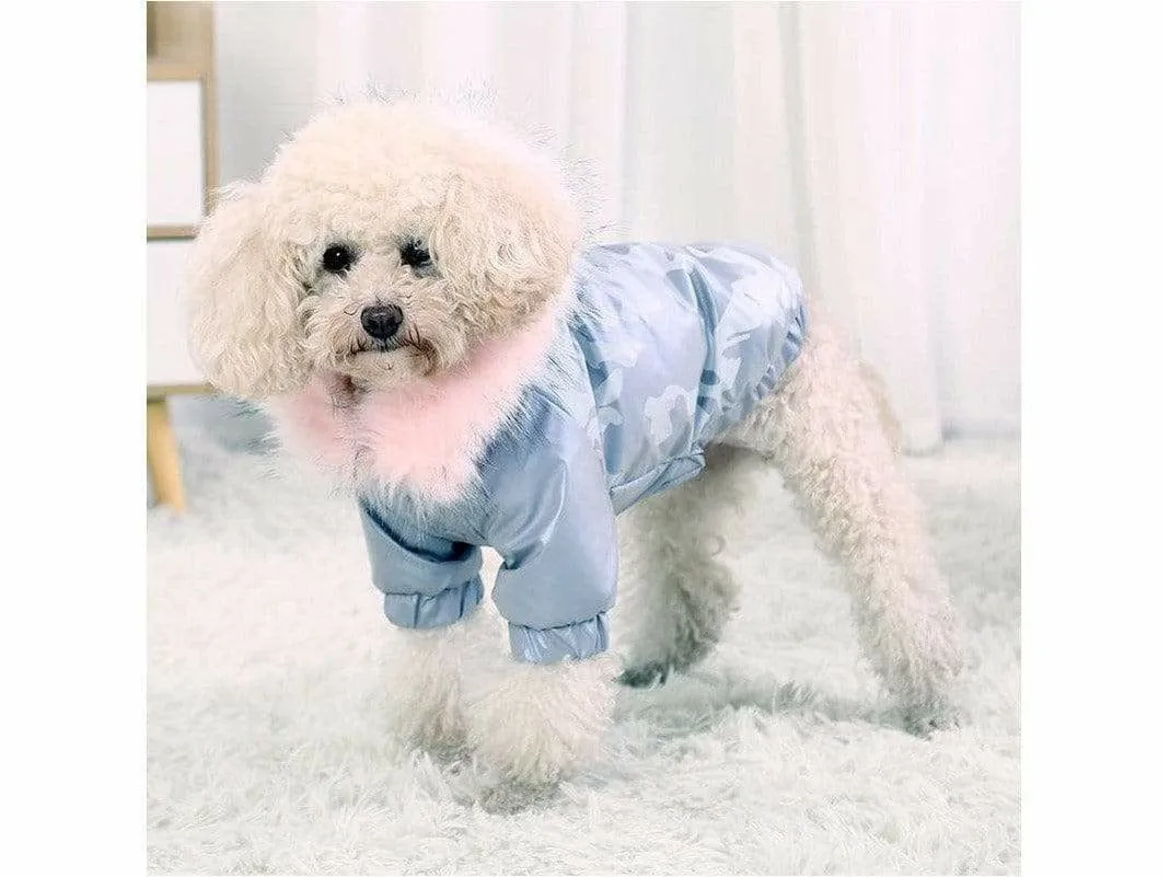 Dog S Chest 40cm Silver