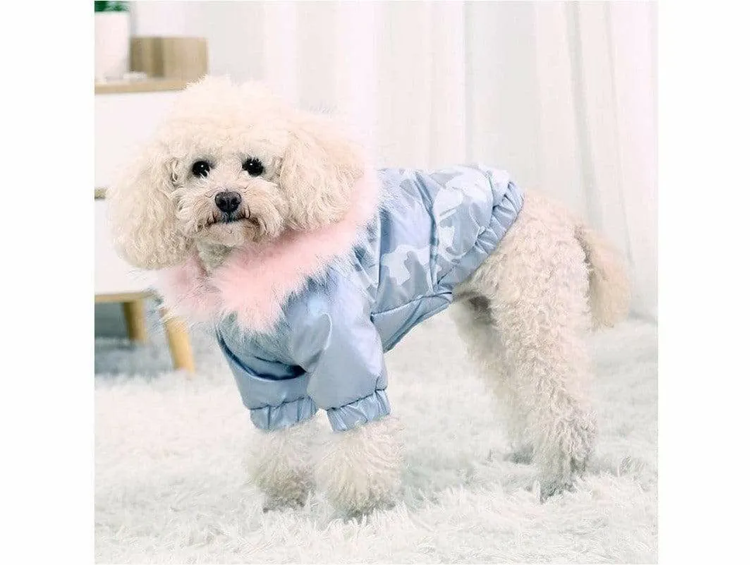 Dog S Chest 40cm Silver