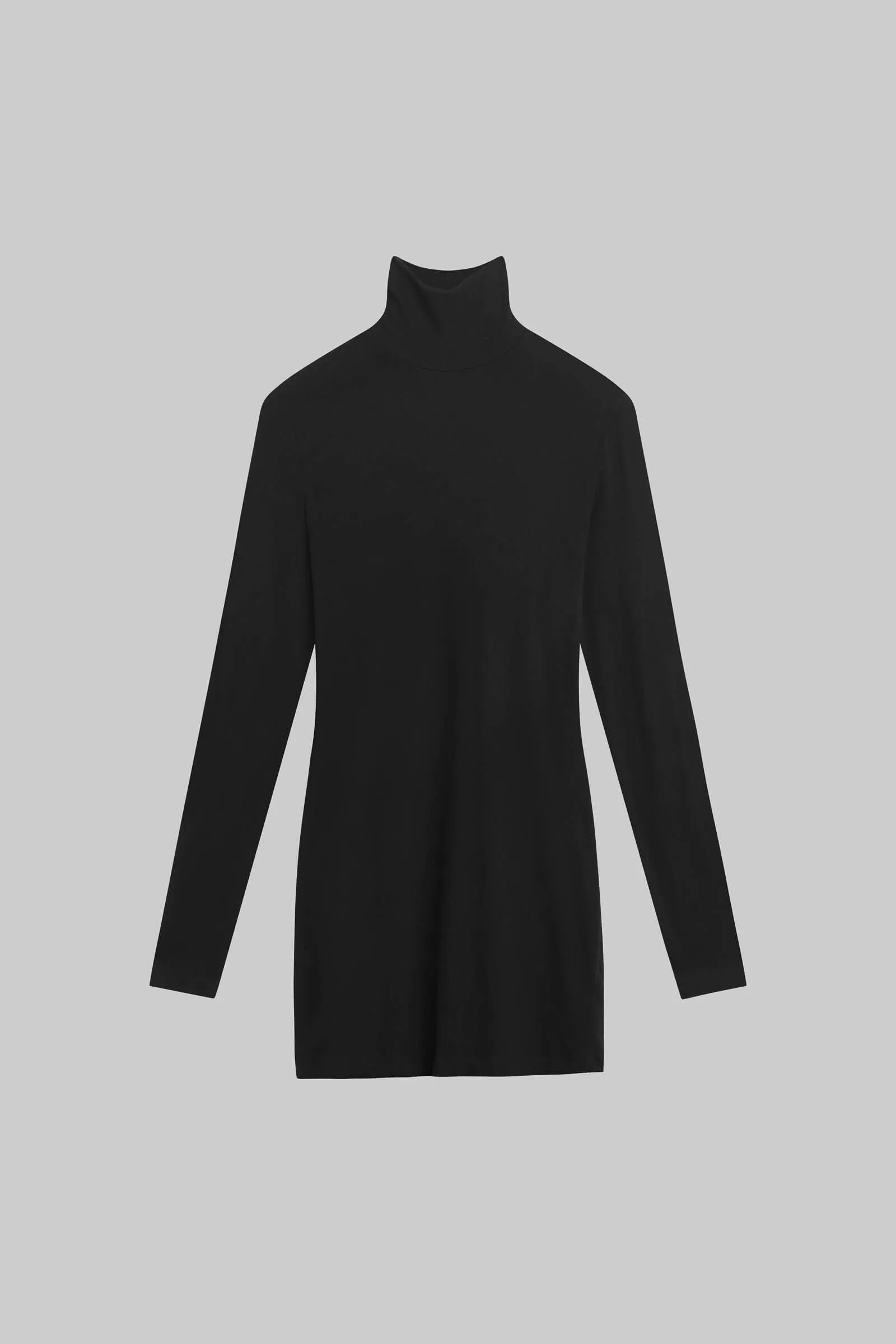 Lauren Turtleneck Dress