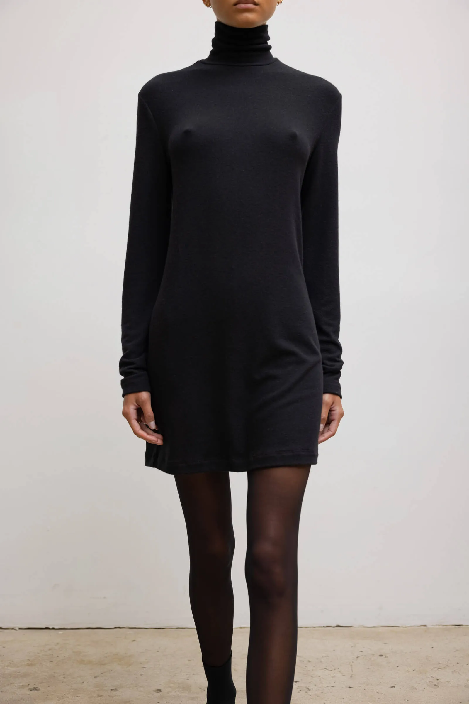 Lauren Turtleneck Dress