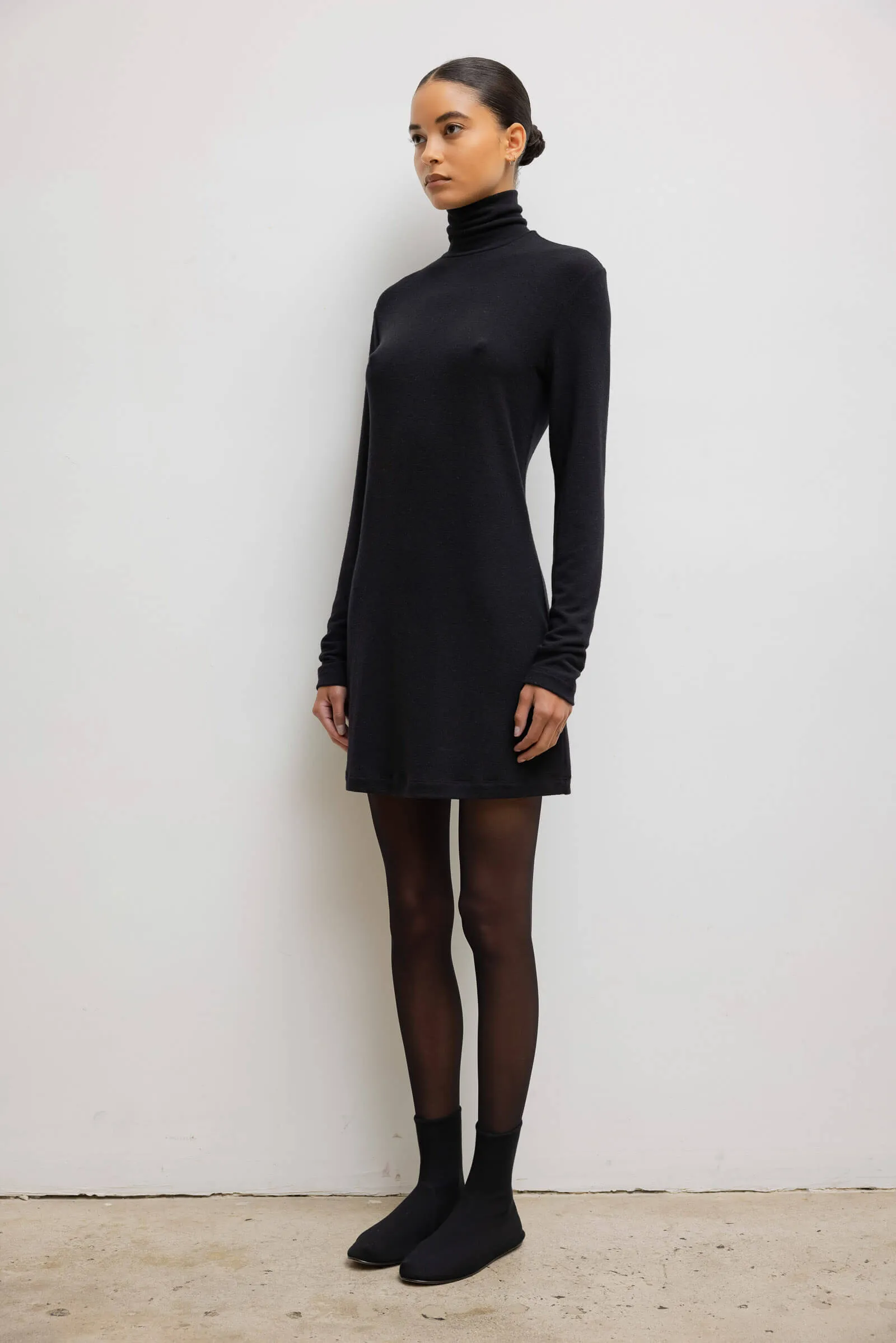 Lauren Turtleneck Dress