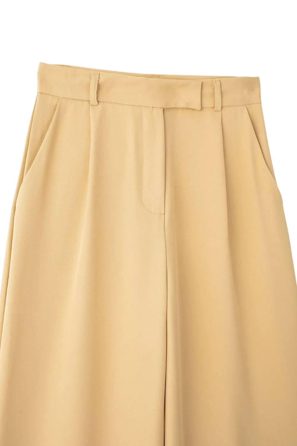 'Madeline' Pleated High-Waist Wide-Leg Pants