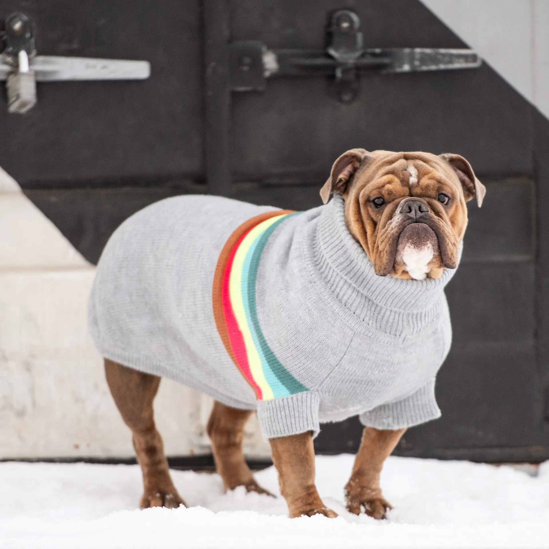 Retro Pet Sweater (Grey Mix)