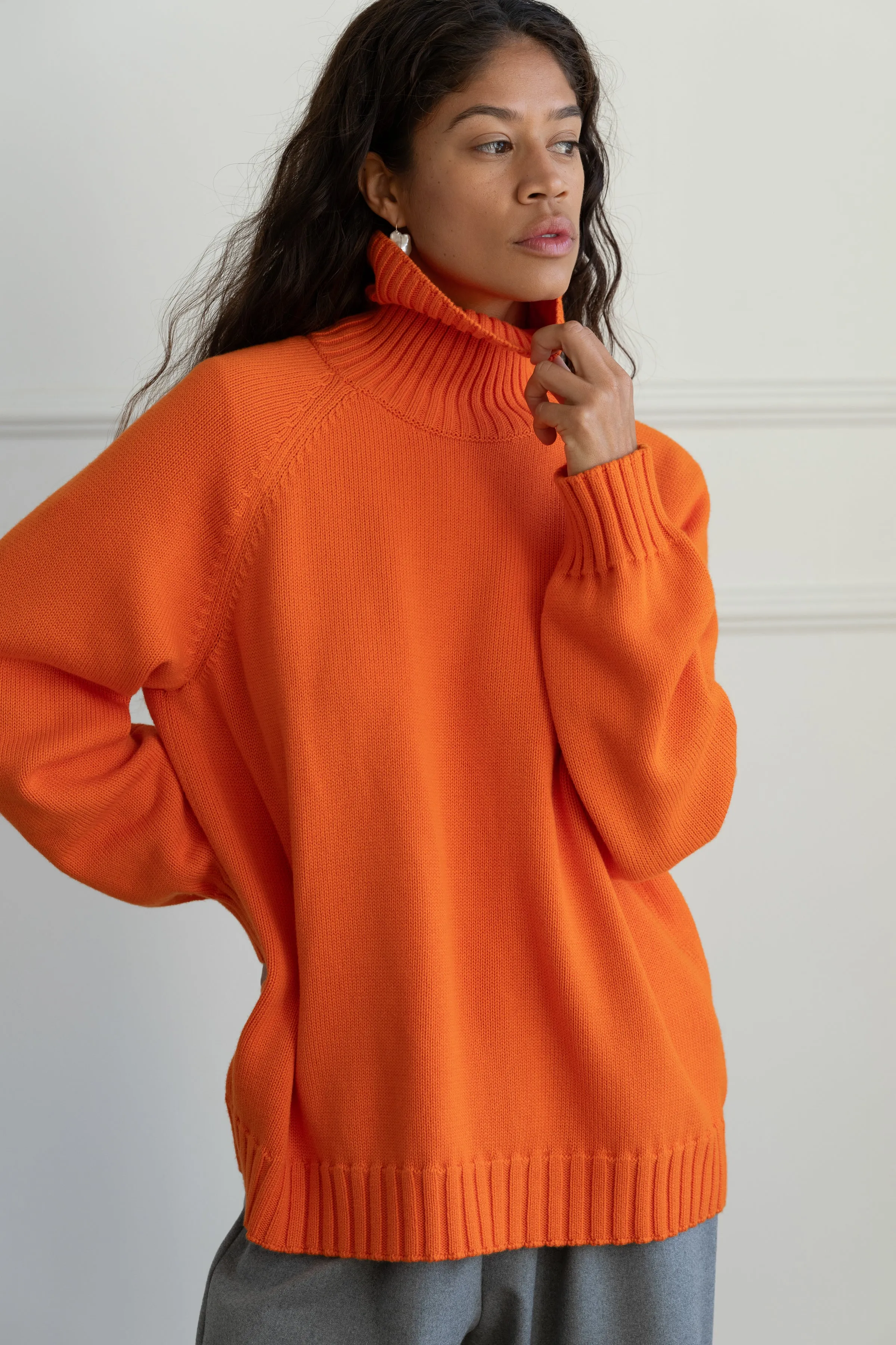 The Cotton Cashmere Turtleneck Sweater