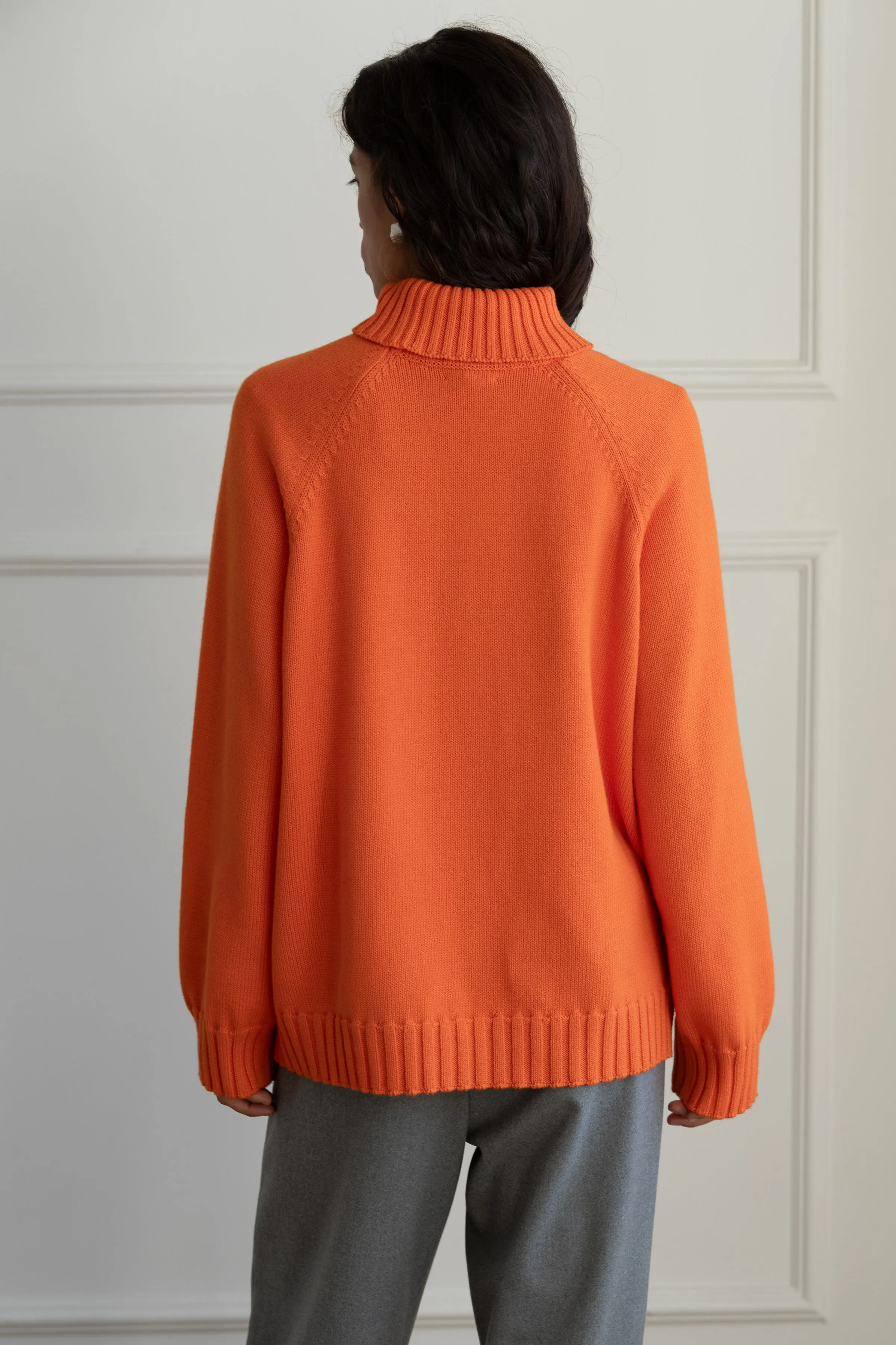 The Cotton Cashmere Turtleneck Sweater